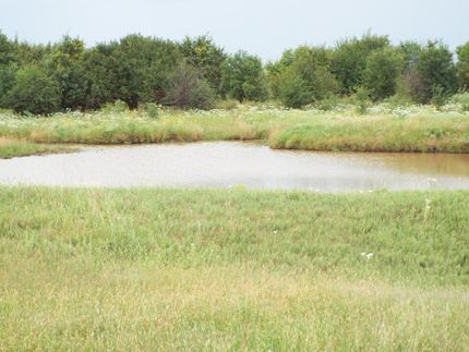 Timberland Property in Garfield County, Oklahoma