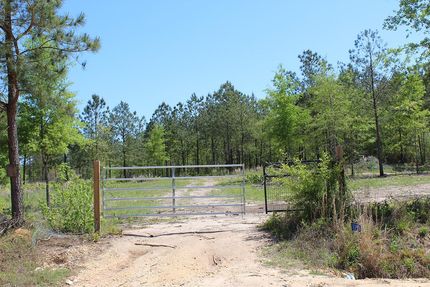 Undeveloped Land in Warren County, Georgia