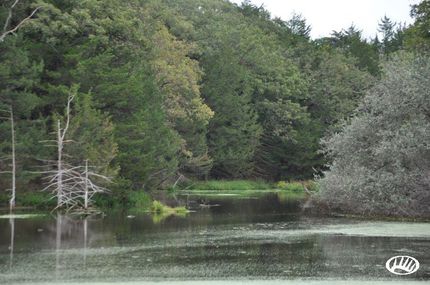 Recreational Property in Knox County, Nebraska