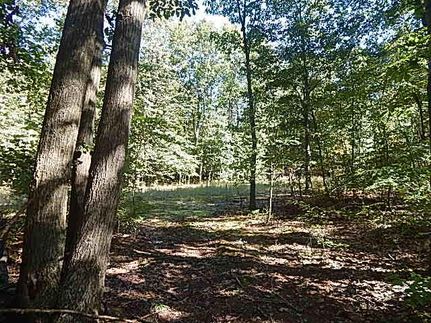 Farm and Ranch in Van Buren County, Michigan
