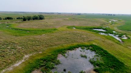 Hunting Property in Sanborn County, South Dakota