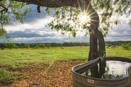 Undeveloped Land in Gillespie County, Texas