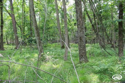 Land in Waushara County, Wisconsin