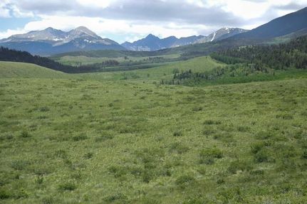Timberland Property in Huerfano County, Colorado