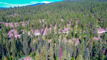 Timberland Property in Valley County, Idaho