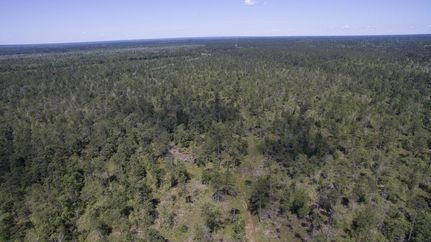 Timberland Property in Liberty County, Texas