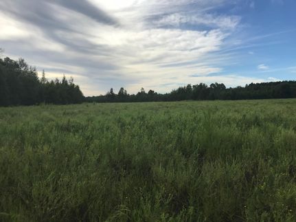 Farm and Ranch in Jenkins County, Georgia