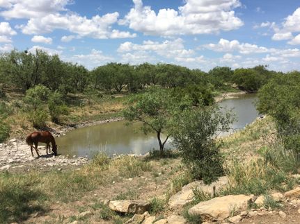 Farm and Ranch in Concho County, Texas