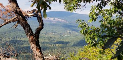 Farm and Ranch in Wilkes County, North Carolina