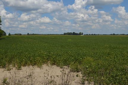 Land in Allen County, Indiana