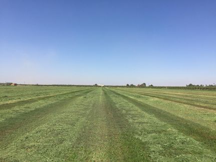 Farm and Ranch in Kern County, California