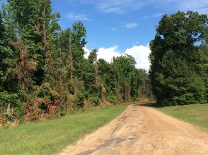 Farm and Ranch in LaSalle Parish, Louisiana