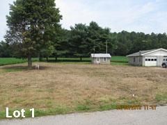 Farm and Ranch in Lewis County, Kentucky