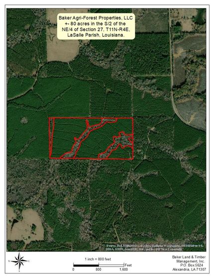 Recreational Property in LaSalle Parish, Louisiana
