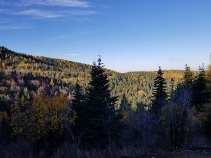 Land in Kootenai County, Idaho