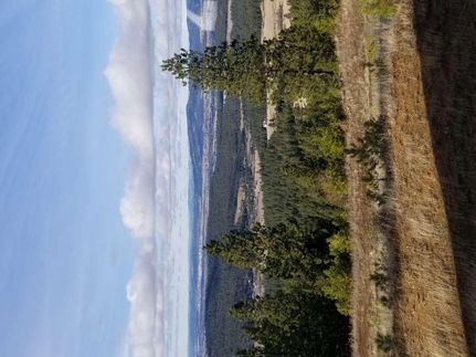 Farm and Ranch in Kootenai County, Idaho