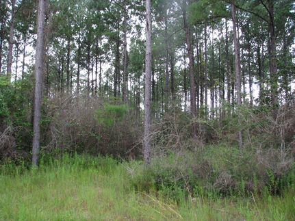 Recreational Property in Escambia County, Alabama