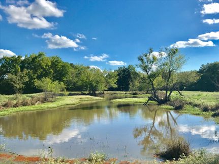 Undeveloped Land in Hopkins County, Texas