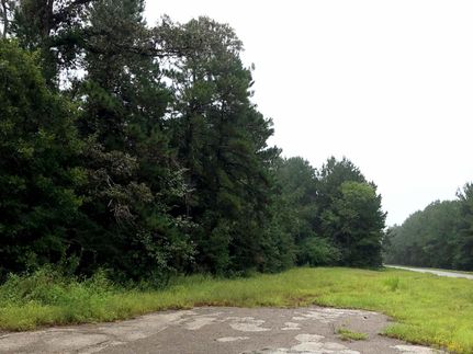 Undeveloped Land in Tyler County, Texas