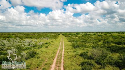 Farm and Ranch in Jim Hogg County, Texas