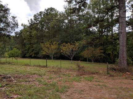 Undeveloped Land in Coosa County, Alabama
