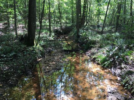 Undeveloped Land in Paulding County, Georgia