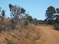 Farm and Ranch for sale in Sabine Parish, Louisiana