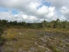 Farm and Ranch for sale in Vernon Parish, Louisiana