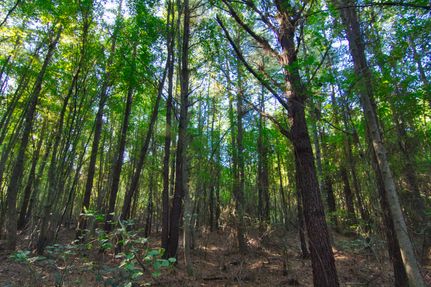 Land in Kershaw County, South Carolina