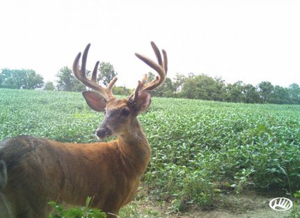 Recreational Property in Knox County, Missouri