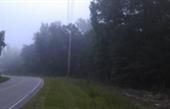 Timberland Property in Lexington County, South Carolina