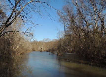 Timberland Property in Coweta County, Georgia