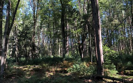 Recreational Property in Oneida County, New York
