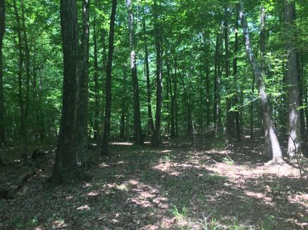 Recreational Property in Lee County, Alabama