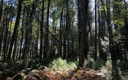 Commercial Property in Oneida County, New York