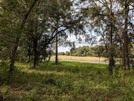 Undeveloped Land in Suwannee County, Florida