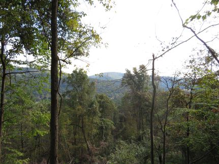 Undeveloped Land in Centre County, Pennsylvania