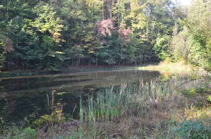 Farm and Ranch in Hawkins County, Tennessee