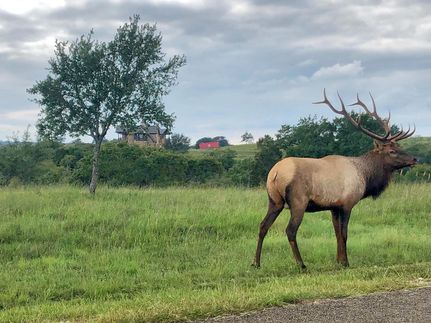 Undeveloped Land in Blanco County, Texas