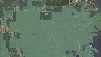 Undeveloped Land in Sabine County, Texas