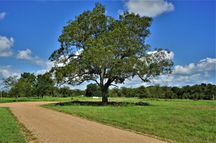 Farm and Ranch in Washington County, Texas