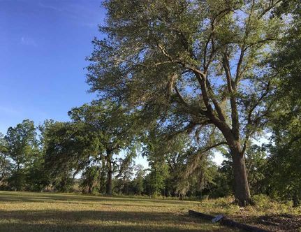 Homesite in Camden County, Georgia