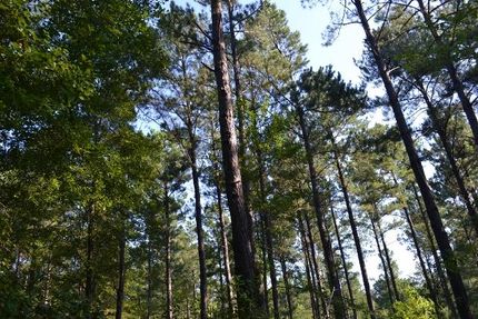Land in Emanuel County, Georgia