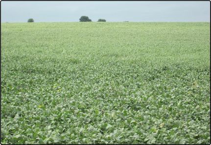 Farm and Ranch in Cass County, Nebraska