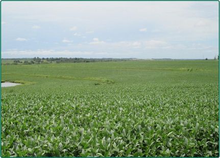 Farm and Ranch in Page County, Iowa