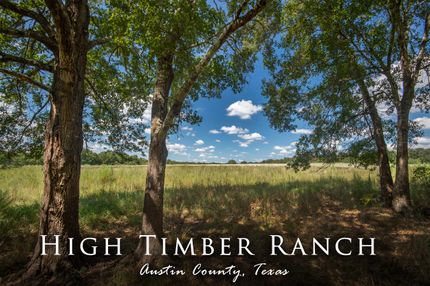 Timberland Property in Austin County, Texas