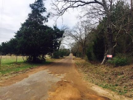 Undeveloped Land in Anderson County, Texas