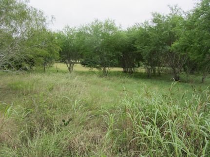 Undeveloped Land in Goliad County, Texas
