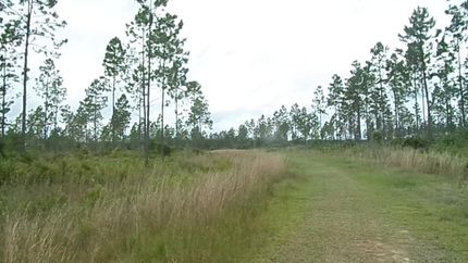 Recreational Property in Wayne County, Georgia