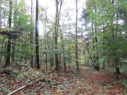 Commercial Property in Oneida County, New York